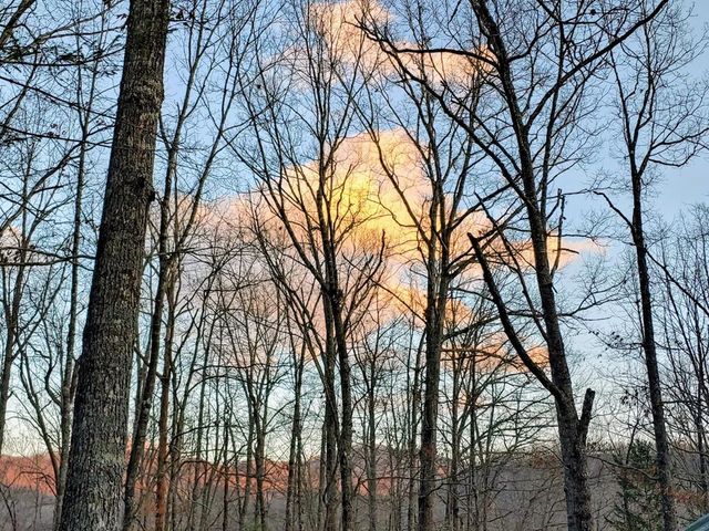 119 Laurel Branch Drive, Hayesville, NC 28904