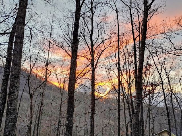 119 Laurel Branch Drive, Hayesville, NC 28904