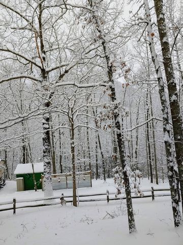 119 Laurel Branch Drive, Hayesville, NC 28904