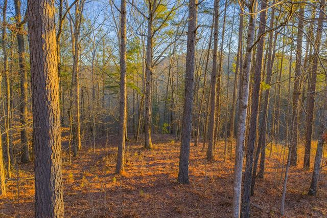 Lot 2 Blalock Mountain Road, Talking Rock, GA 30175