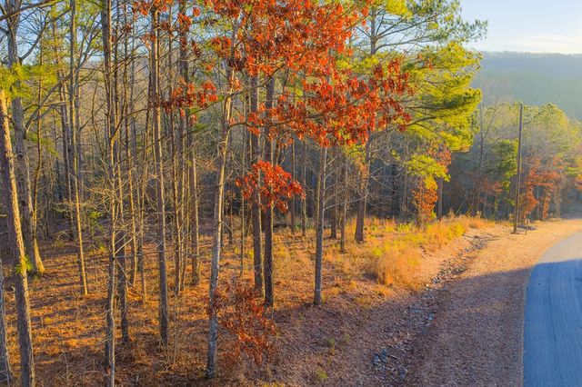 Lot 2 Blalock Mountain Road, Talking Rock, GA 30175