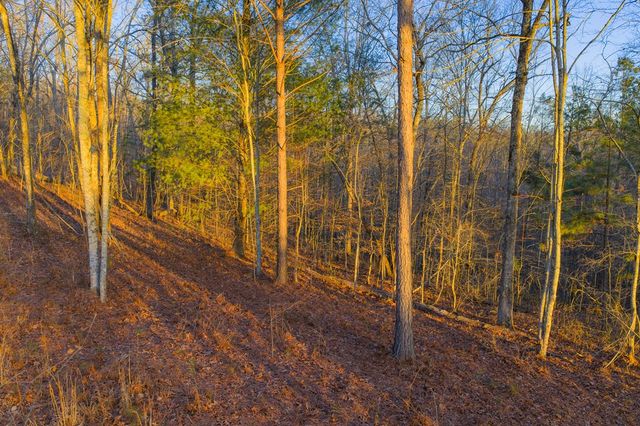 Lot 2 Blalock Mountain Road, Talking Rock, GA 30175