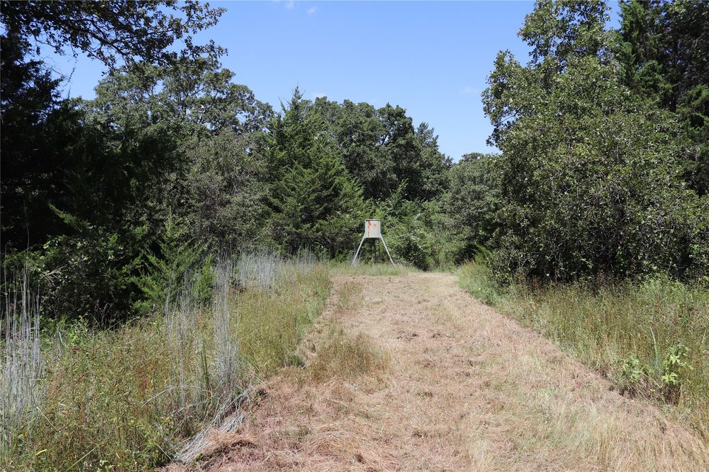 36 ACRES FM 1749, Sunset, TX 76270
