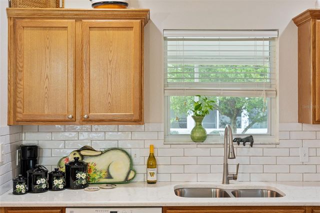 17713 SE 89TH MILFORD AVENUE, The Villages, FL 32162