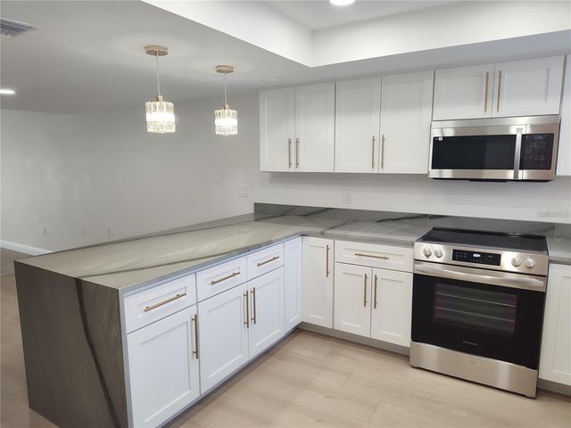 255 CAPRI CIRCLE N 36, Treasure Island, FL 33706