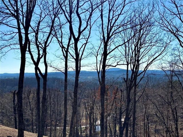 163 Beauregards Knob, Ellijay, GA 30536