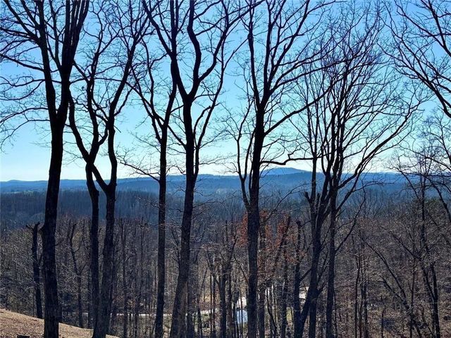 163 Beauregards Knob, Ellijay, GA 30536
