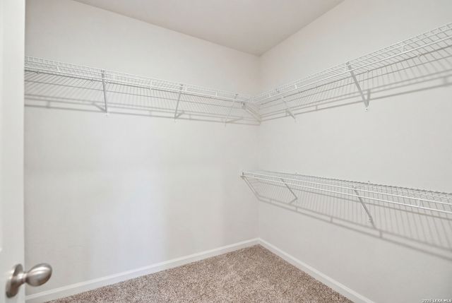 7806 Cactus Plum Dr, San Antonio, TX 78254