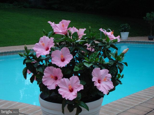 7 TODMORDEN DR, Rose Valley, PA 19086