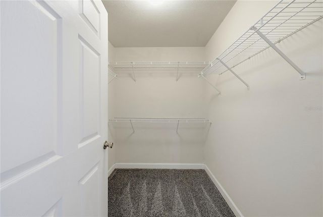 18471 BRIDLE CLUB DRIVE, Tampa, FL 33647