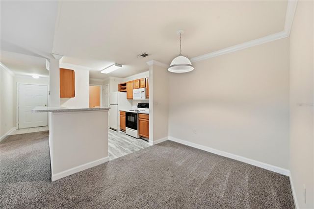 18471 BRIDLE CLUB DRIVE, Tampa, FL 33647