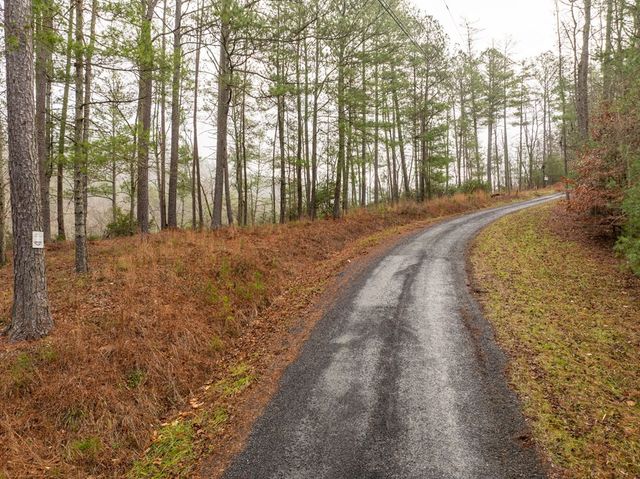 Lot 1742 Meadow Lane, Talking Rock, GA 30175