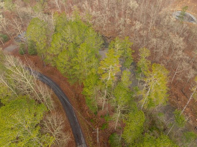Lot 1742 Meadow Lane, Talking Rock, GA 30175