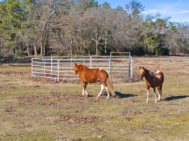 1135 COUNTY ROAD 2112, Daingerfield, TX 75638