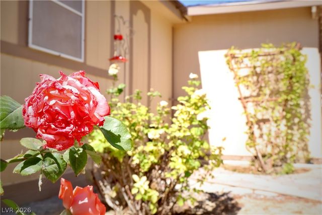 4501 East Kellogg Road, Pahrump, NV 89061