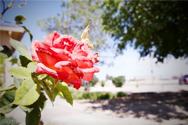 4501 East Kellogg Road, Pahrump, NV 89061