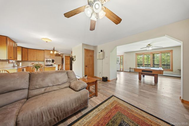 114 Turkey Hollow Lane, Livingston Manor, NY 12758