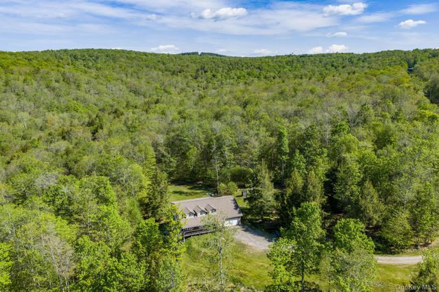 114 Turkey Hollow Lane, Livingston Manor, NY 12758