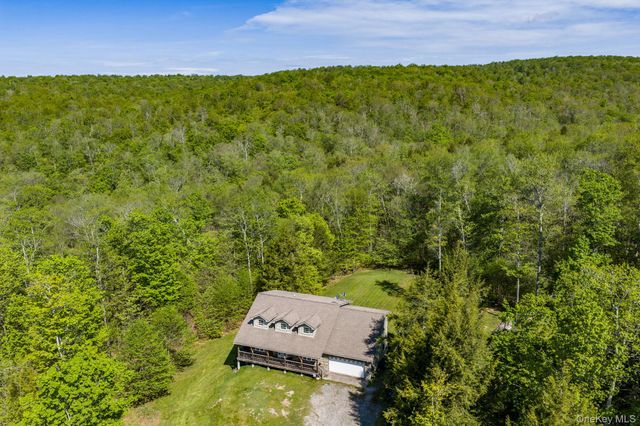 114 Turkey Hollow Lane, Livingston Manor, NY 12758