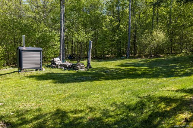 114 Turkey Hollow Lane, Livingston Manor, NY 12758