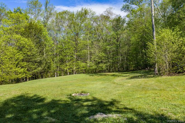 114 Turkey Hollow Lane, Livingston Manor, NY 12758