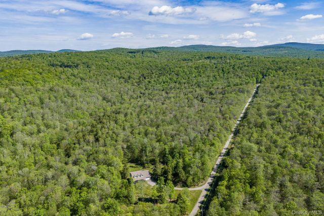 114 Turkey Hollow Lane, Livingston Manor, NY 12758