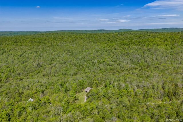 114 Turkey Hollow Lane, Livingston Manor, NY 12758