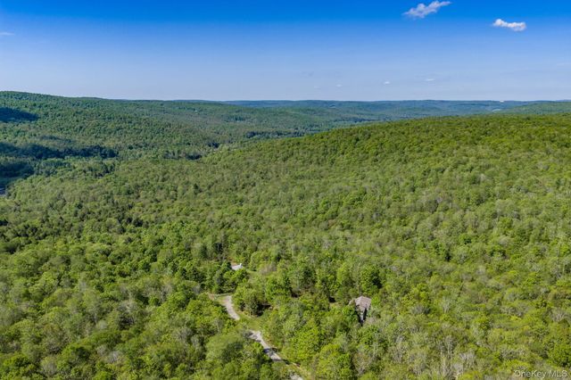 114 Turkey Hollow Lane, Livingston Manor, NY 12758