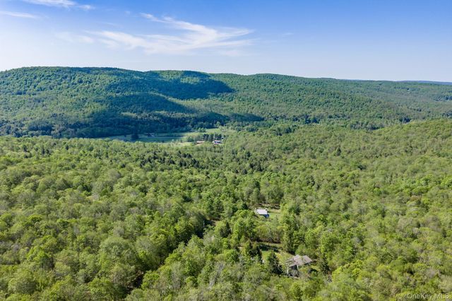 114 Turkey Hollow Lane, Livingston Manor, NY 12758