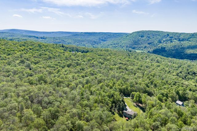 114 Turkey Hollow Lane, Livingston Manor, NY 12758