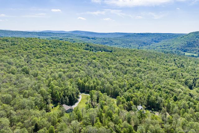 114 Turkey Hollow Lane, Livingston Manor, NY 12758