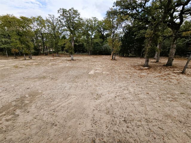 116 Pine Point CV, Elgin, TX 78621