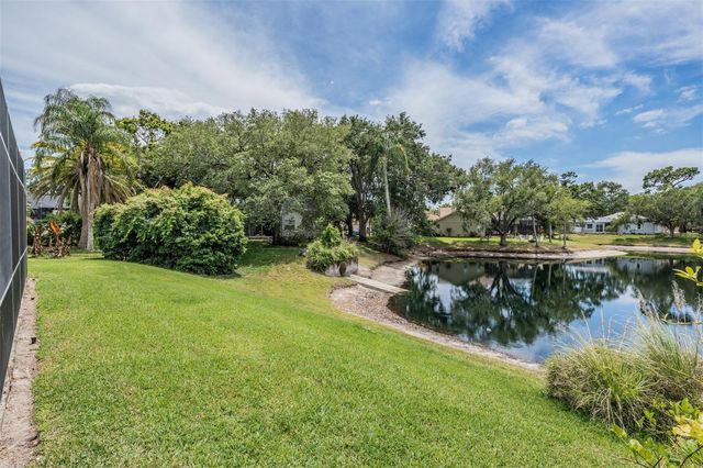 1620 POLO CLUB DRIVE, Tarpon Springs, FL 34689