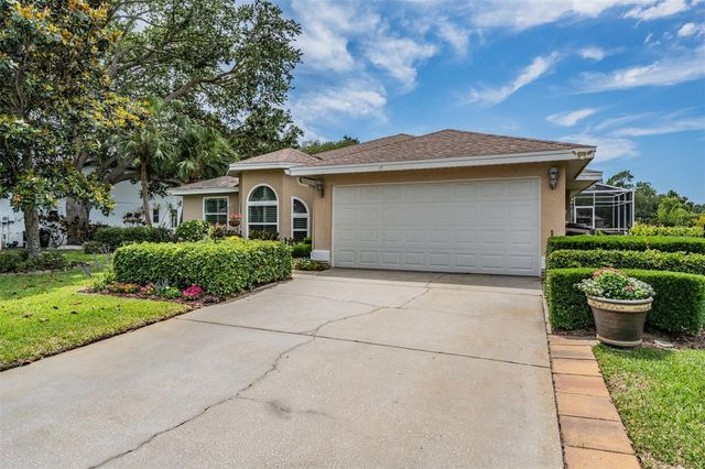 1620 POLO CLUB DRIVE, Tarpon Springs, FL 34689