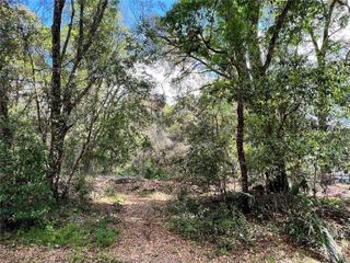 GARFIELD AVENUE, Brooksville, FL 34604
