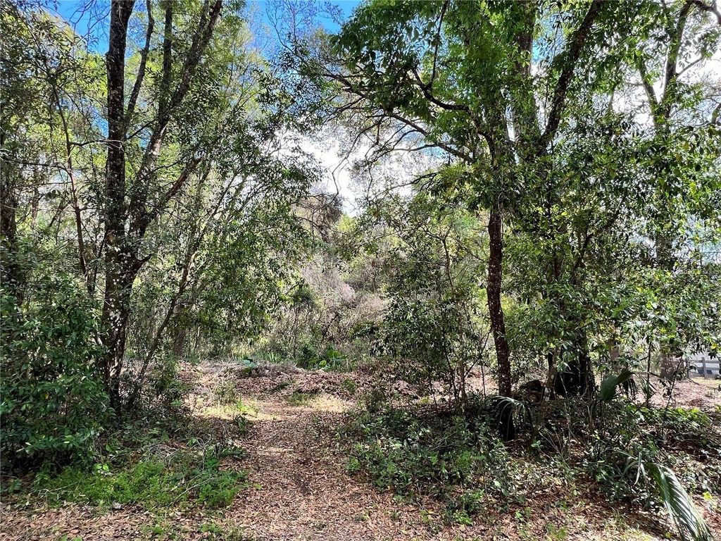 GARFIELD AVENUE, Brooksville, FL 34604