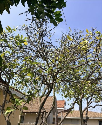 4941 W 130th, Hawthorne, CA 90250