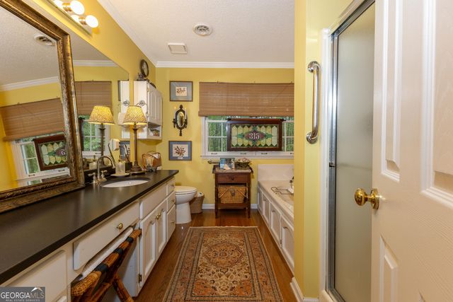 175 Weeping Willow Way, Tyrone, GA 30290