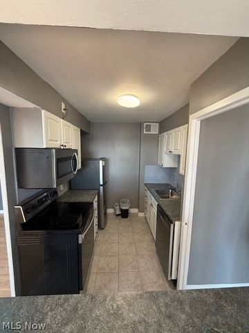 11850 Edgewater Drive 1003, Lakewood, OH 44107