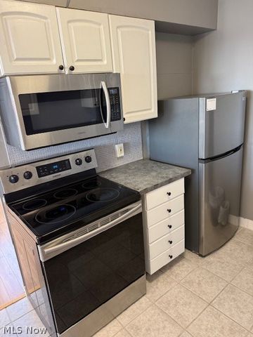 11850 Edgewater Drive 1003, Lakewood, OH 44107