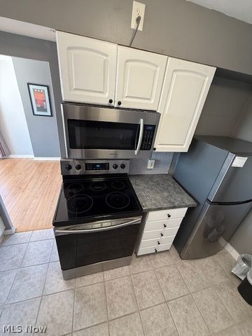 11850 Edgewater Drive 1003, Lakewood, OH 44107