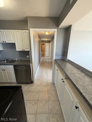 11850 Edgewater Drive 1003, Lakewood, OH 44107