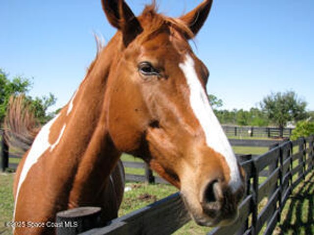 324 Pinto Lane, Palm Bay, FL 32909