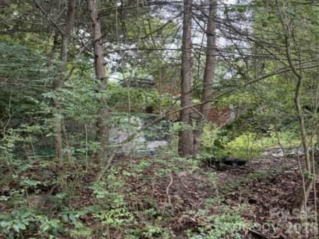 3 S and T Spirit Drive, Candler, NC 28715