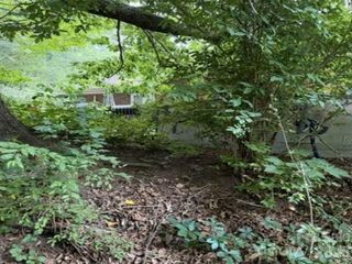 3 S and T Spirit Drive, Candler, NC 28715