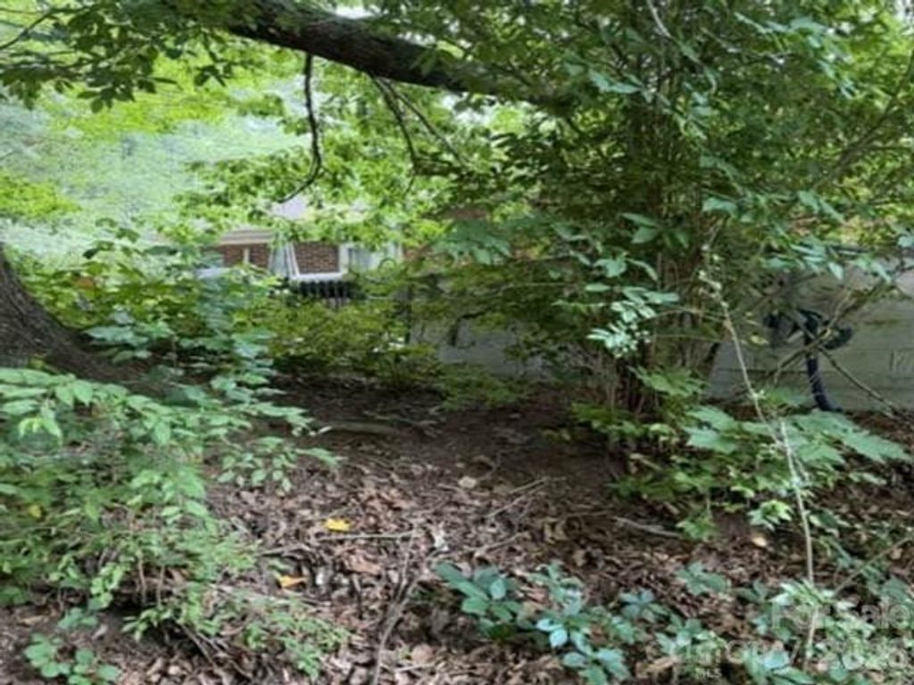 3 S and T Spirit Drive, Candler, NC 28715