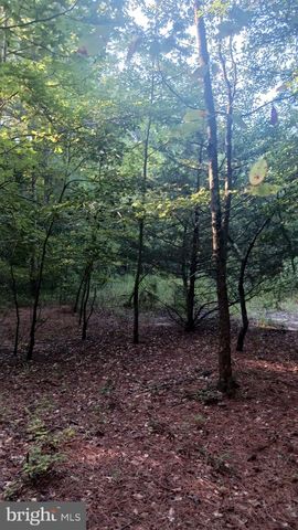 33009 LONGRIDGE RD, Parsonsburg, MD 21849