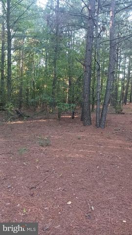 33009 LONGRIDGE RD, Parsonsburg, MD 21849