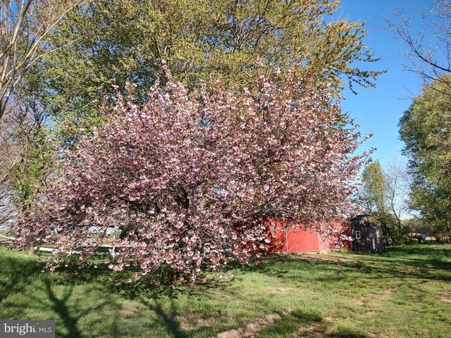 12397 RIDGELY RD, Ridgely, MD 21660