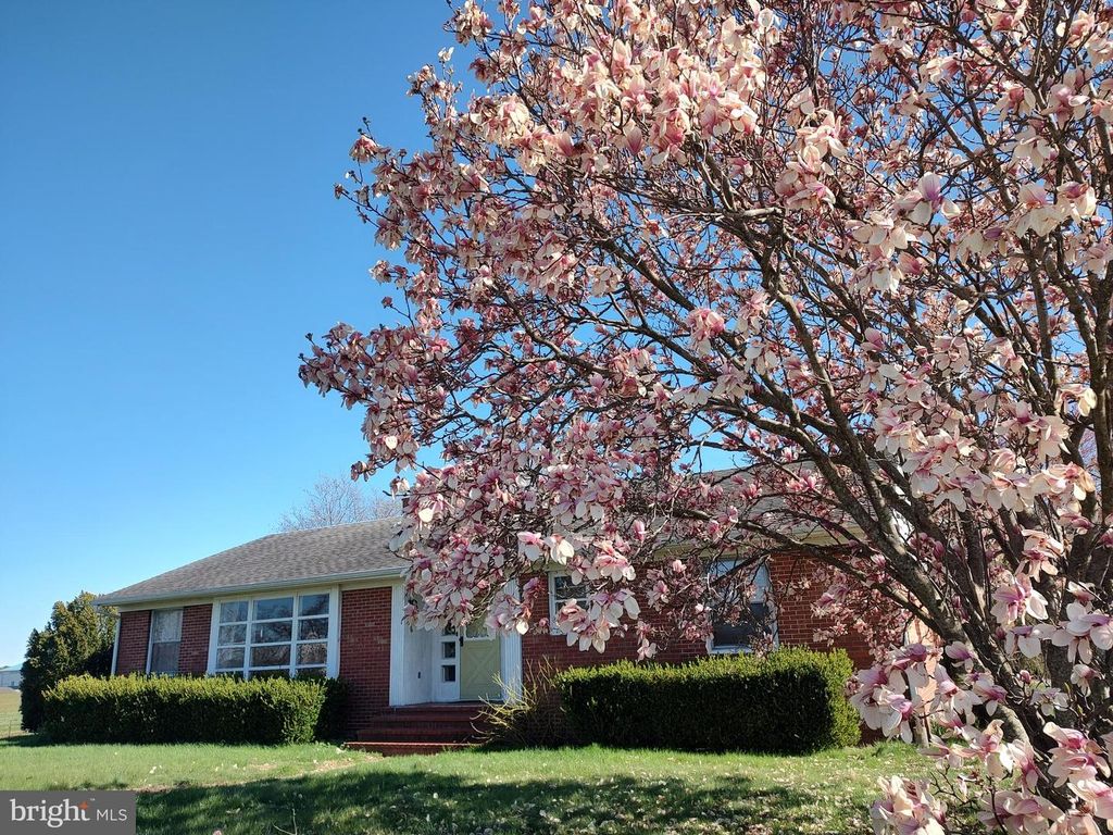 12397 RIDGELY RD, Ridgely, MD 21660